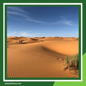 Sikap Teladan Umar bin Khattab